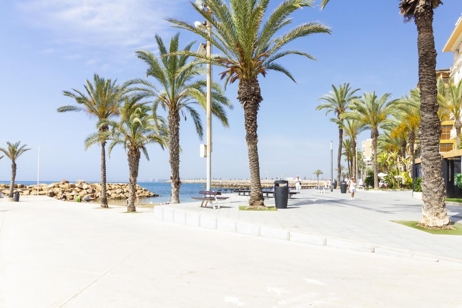 Apartamento Pink Azure Torrevieja Exterior foto